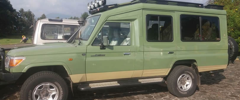 Safari Jeep