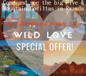 Wild Love Special Offer