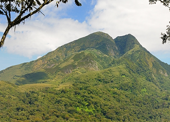 Mountaineering in Kahuzi Biega National Park