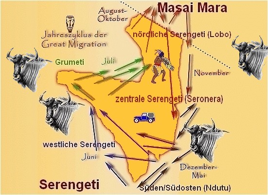 Serengeti Migration of Wildebeest