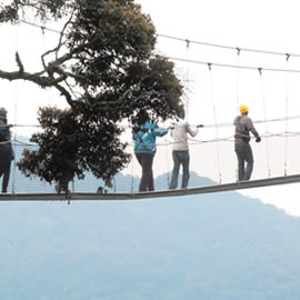 Canopy Walks in Nyungwe Rwanda