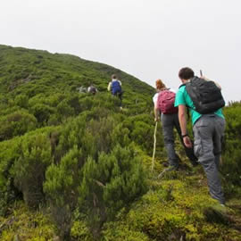 Kahuzi Biega National Park Congo