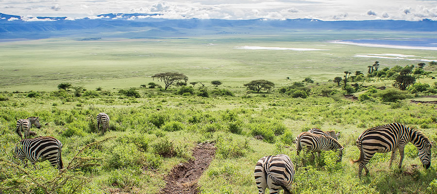 Ngorongoro Conservation Area Tanzania