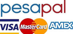 Make Your Payment with Pesa Pal