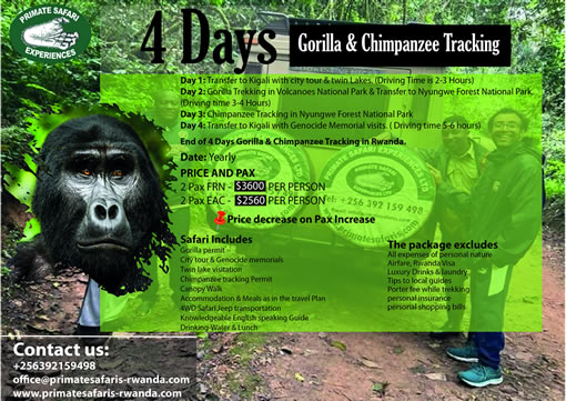 4 Days Rwanda Gorilla & Chimpanzee Trek