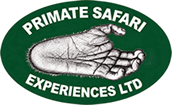 Primate Safaris Rwanda